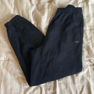 Aritzia TNA fleece sweatpants